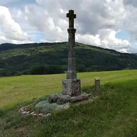 Eco-friendly With Private Hot Tub, Vosges Mountain * Laveline-du-Houx