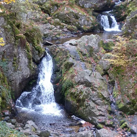 Eco-friendly With Private Hot Tub, Vosges Mountain *