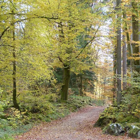 Eco-friendly With Private Hot Tub, Vosges Mountain Laveline-du-Houx